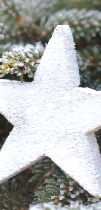 White star on frosty evergreen branches mobile wallpaper.