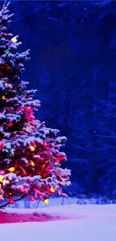 Snow-covered tree with colorful lights against a dark blue winter night sky.