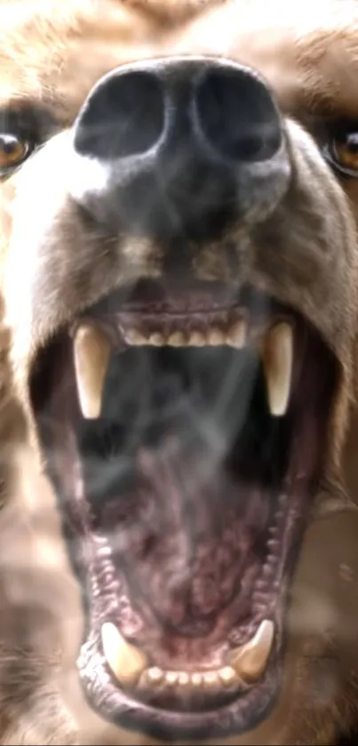 Close-up of a roaring bear, showcasing its fierce expression and wild nature.