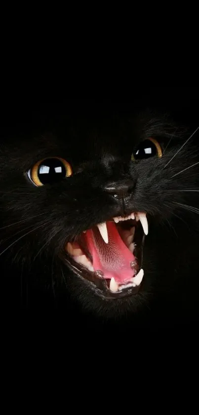 Close-up of a fierce black cat with an open mouth displaying sharp teeth.