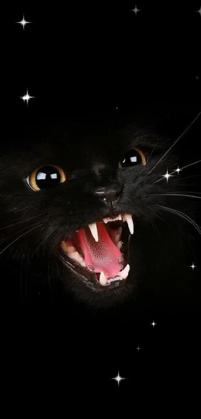 Fierce black cat with open mouth on a dark background wallpaper.