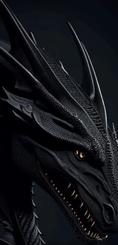 Majestic black dragon with fierce eyes.