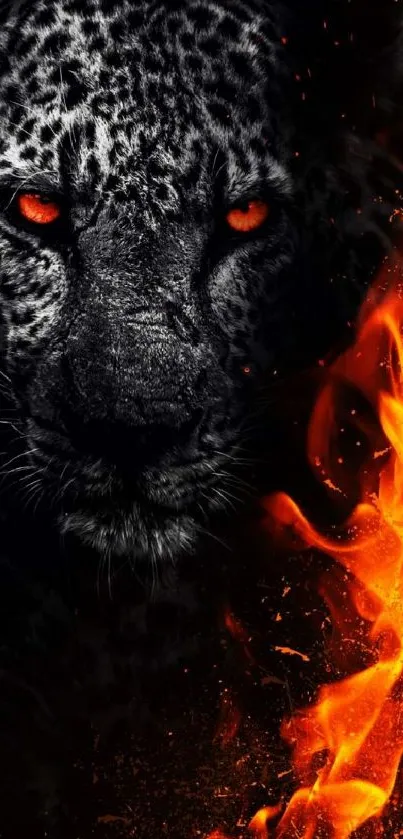 Fierce black leopard with orange eyes and flames on a dramatic wallpaper.