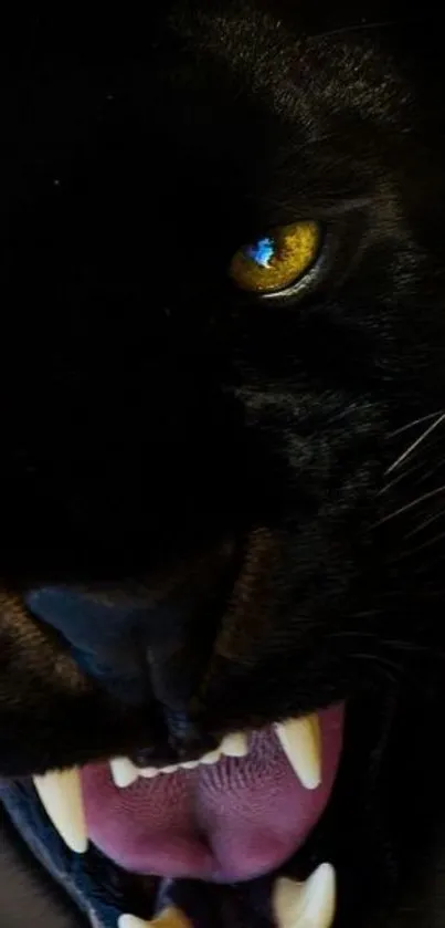 Close-up of a fierce black panther with yellow eyes.