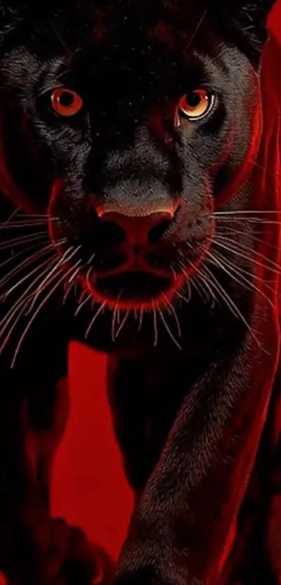 Black panther on a red background wallpaper.
