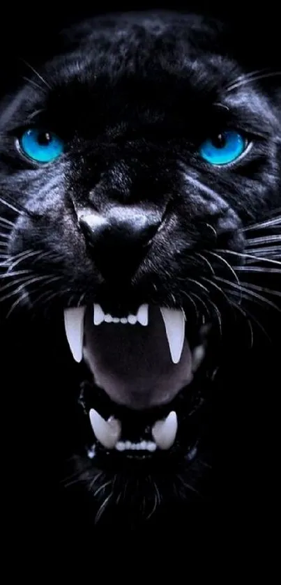 Fierce black panther with blue eyes on a mobile wallpaper.