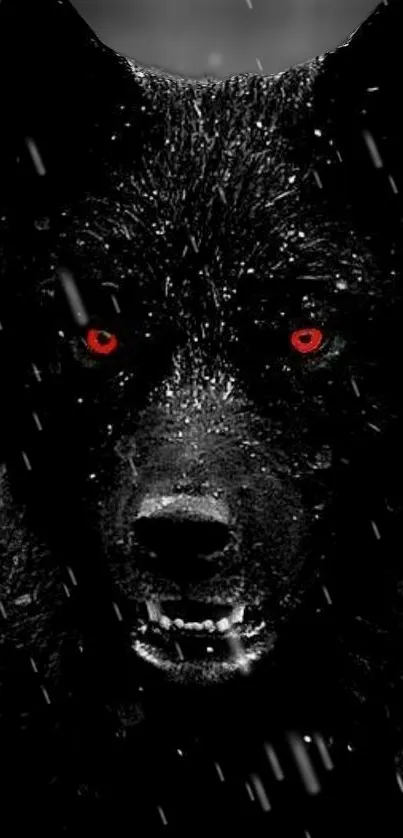 Fierce black wolf with red eyes in the rain, dramatic mobile wallpaper.