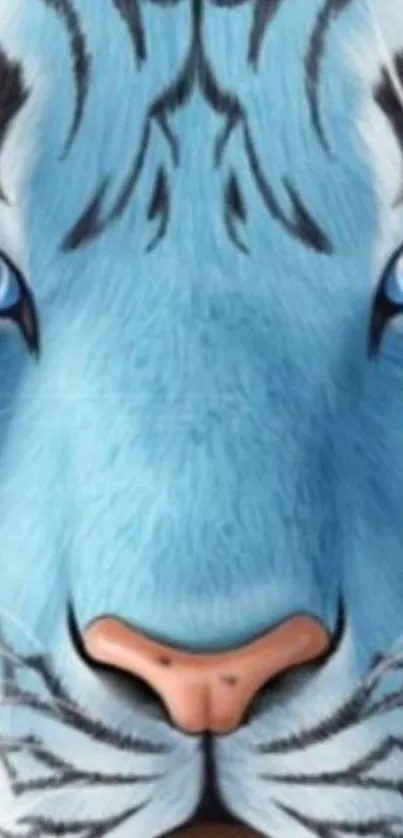 Close-up of a blue tiger with piercing eyes and detailed fur design.