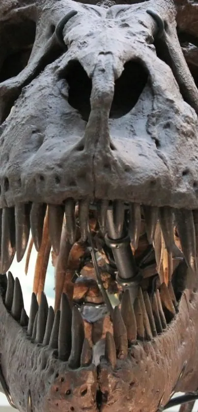 Close-up of a dinosaur skull fossil in vivid detail.