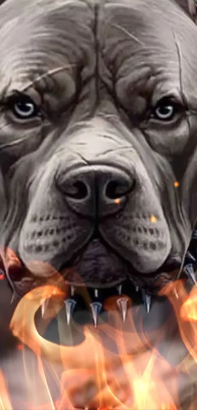 Fierce dog face with burning flames art wallpaper.