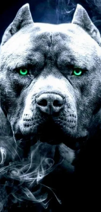 Fierce dog with blue eyes in smoke background.