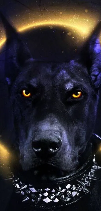 Fierce black dog with glowing halo wallpaper.