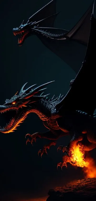 Fierce dragons with fiery breath against a dark backdrop.