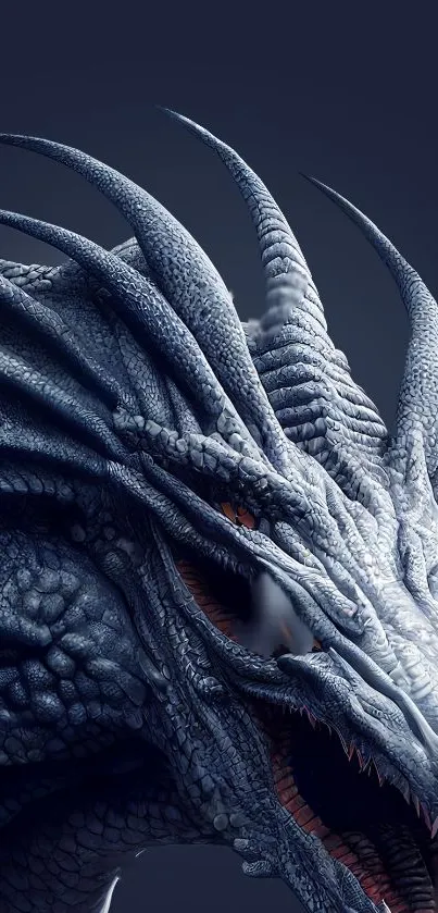 High-detail dragon wallpaper with dark blue tones and fantasy design.