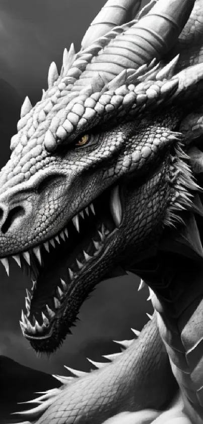 Grayscale dragon illustration mobile wallpaper showcasing fierce expression.