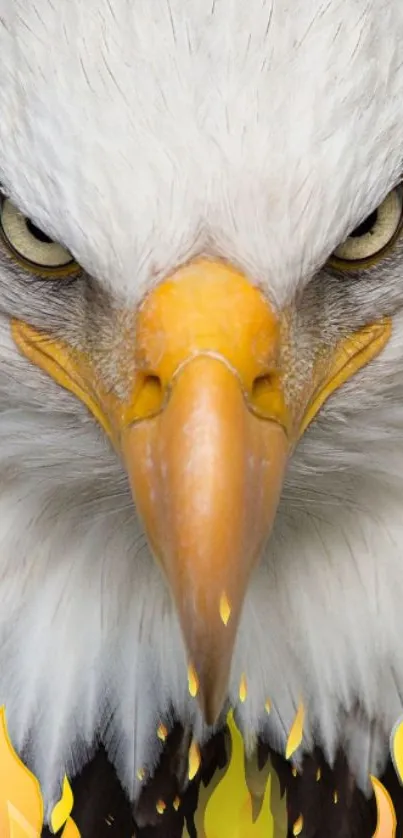 Detailed eagle face with piercing eyes and flames at the bottom.