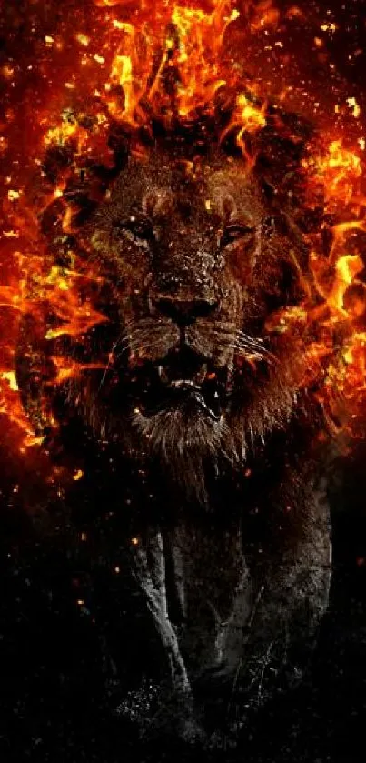 Fierce lion surrounded by vibrant flames on a dark background mobile wallpaper.