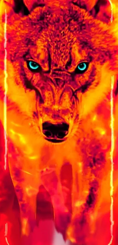 Fiery orange wolf with blue eyes mobile wallpaper.