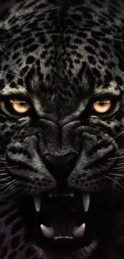 Fierce leopard face with yellow eyes on mobile wallpaper background.