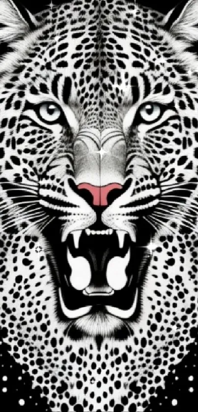 Fierce leopard face on black background wallpaper.