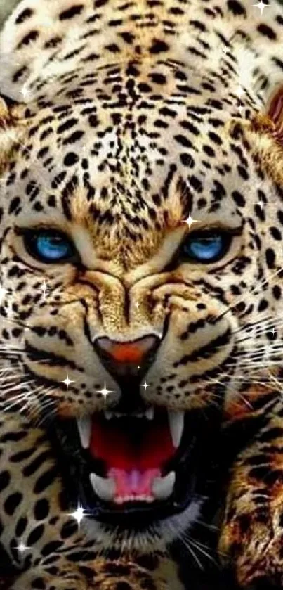 Leopard mobile wallpaper with fierce blue eyes.