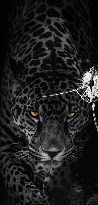 Leopard with piercing eyes in dark mobile wallpaper.