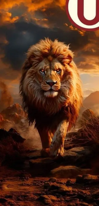 Majestic lion walking through vibrant sunset landscape.