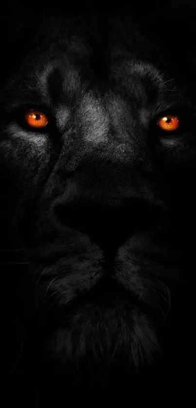 Mobile wallpaper of a fierce lion with fiery eyes on a dark background.