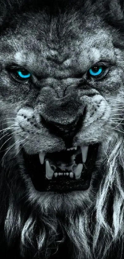 Fierce lion with blue eyes in dark wallpaper.