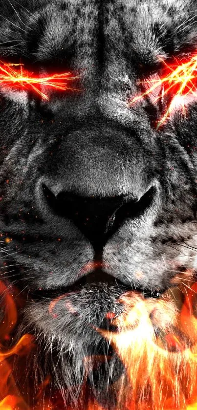Fierce lion with fiery flames mobile wallpaper