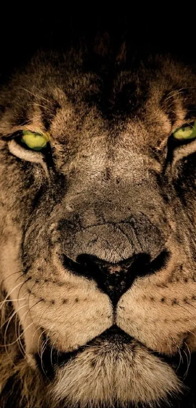 Close-up of a fierce lion with glowing green eyes in a dramatic mobile wallpaper.