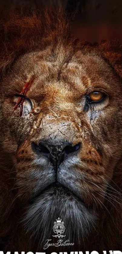 Fierce lion portrait wallpaper for mobile.