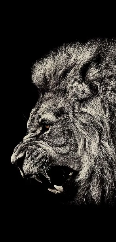 Fierce black and white lion wallpaper for mobile.