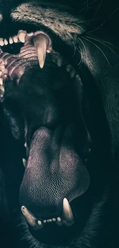 Close-up of a fierce lion roaring, showing sharp teeth.