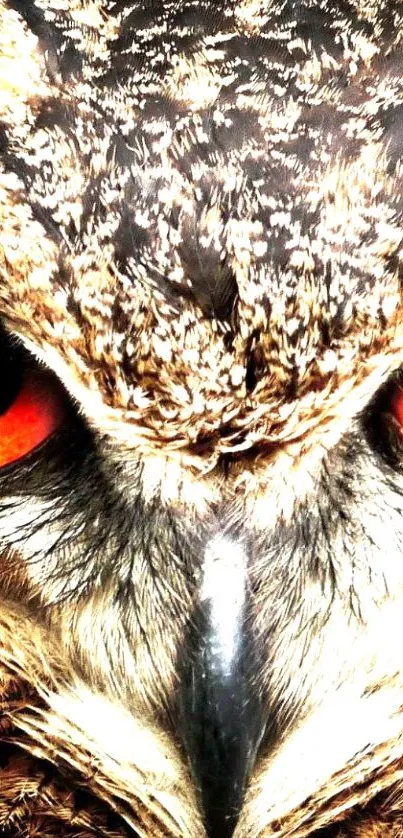 Close-up of an owl with fierce orange eyes and detailed feathers.