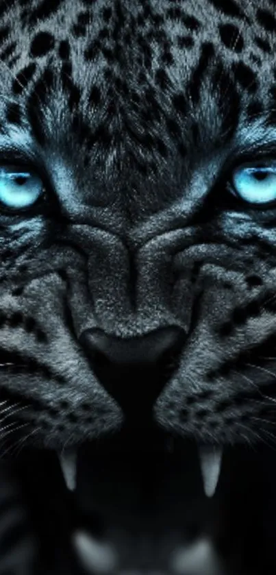 Close-up of fierce panther with blue eyes wallpaper.