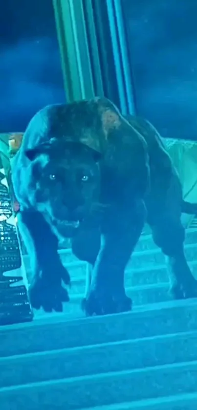 A fierce panther illuminated by a blue glow on stairs at night.