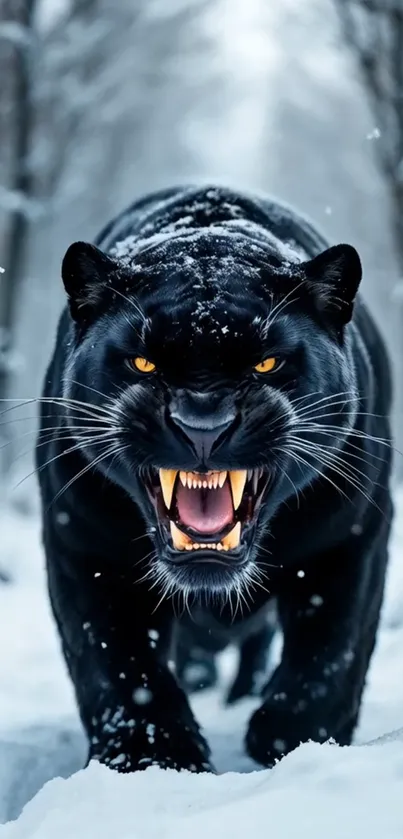 Fierce black panther prowling in snowy forest.