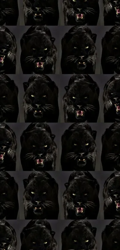 Fierce panther in a striking grid pattern wallpaper.