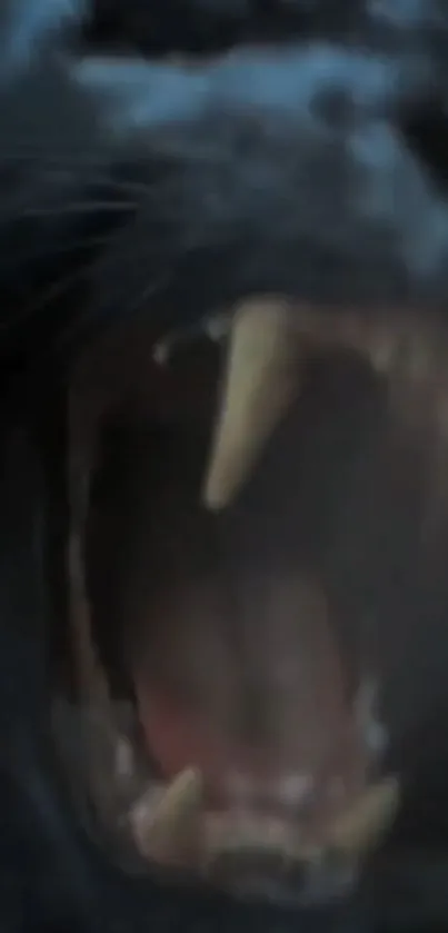 Close-up of fierce panther's open mouth with sharp teeth against a dark background.