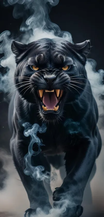 Fierce black panther with smoke background.