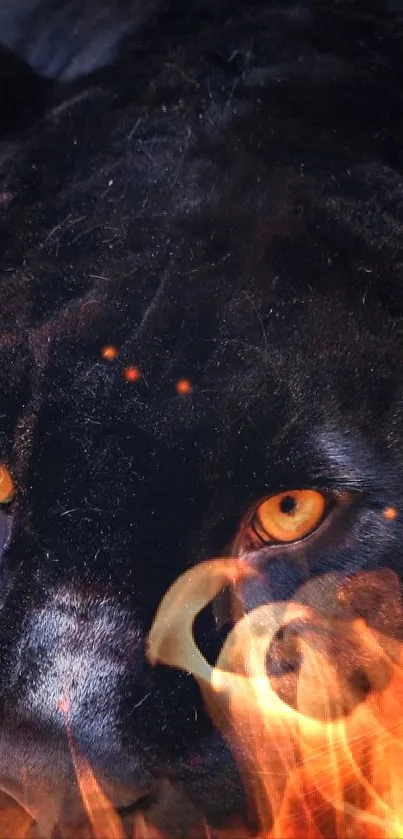 Fierce panther with fiery eyes surrounded by flames.