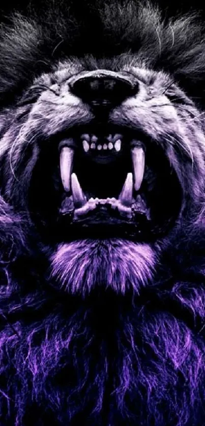 Fierce lion with purple mane roaring passionately.