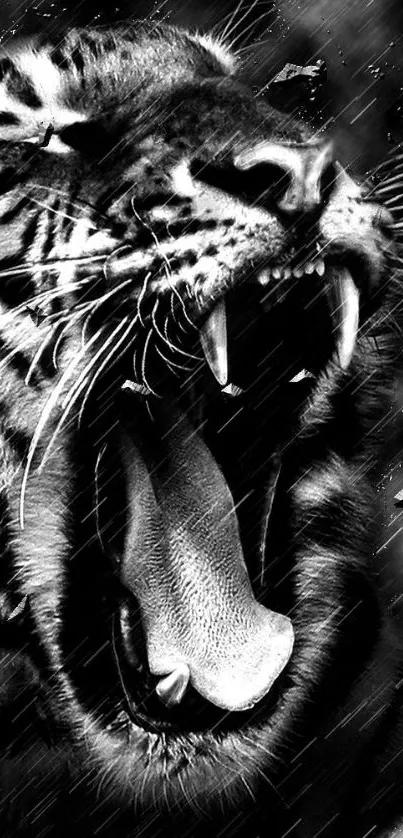 Black and white roaring tiger wallpaper for mobile.