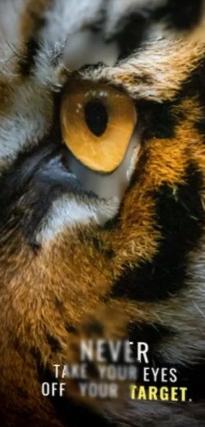 Close-up of a tiger eye with motivational text.