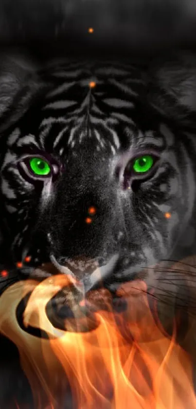 Black tiger with green eyes and fiery background.