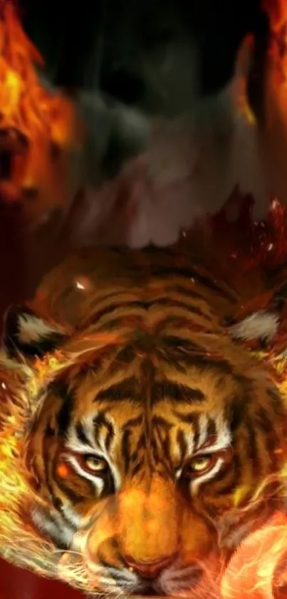 A majestic tiger surrounded by blazing flames in dynamic artwork wallpaper.