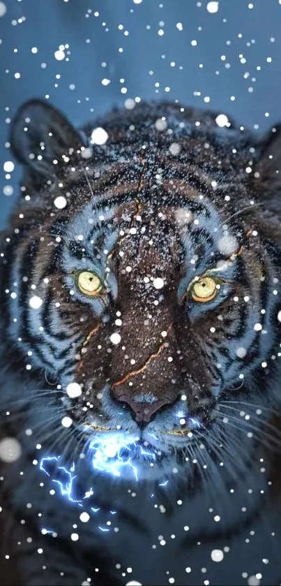 Fierce tiger with snow on face against a blue background.