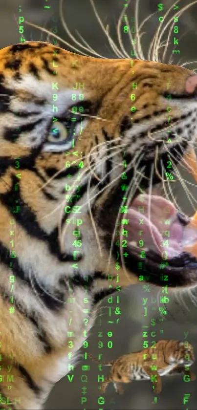 Roaring tiger with green matrix code background.