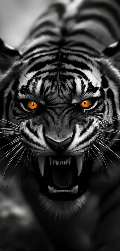 Fierce tiger with glowing eyes roaring in monochrome setting